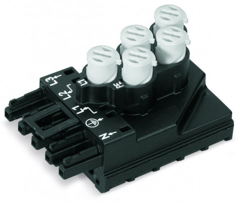 020000030002a2ff000100b6