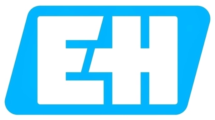 endress-hauser-logo.png